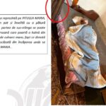 imagini cu victimele si casele lor detalii din rechizitoriu si interceptari socante nucleul palierele gruparii infractionale care lasa batranii fara case si modul de operare 6939521453698