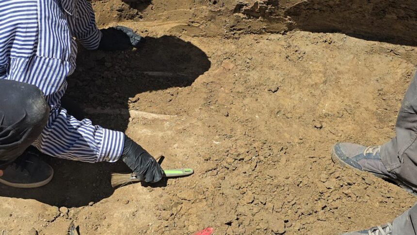 institutul de arheologie din iasi are in lucru monografia necunoscutei necropole romane de pe platforma oil terminal 693f2f2d0f03b