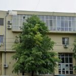 mesajul directorului ajofm constanta adriana duca de ziua nationala a romaniei aceasta zi ne reaminteste valorile care ne unesc 692d943fea65a