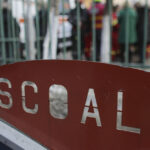 ministerul educatiei premiaza olimpici si profesori pentru performantele internationale ce sume vor primi 692f074351175