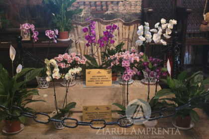 mormantul lui mircea cel batran de la cozia redeschis dupa 100 de ani care este motivul 693a9216dd7bd