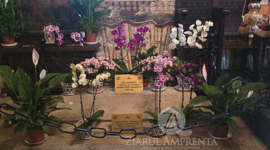 mormantul lui mircea cel batran de la cozia redeschis dupa 100 de ani care este motivul 693a9216dd7bd