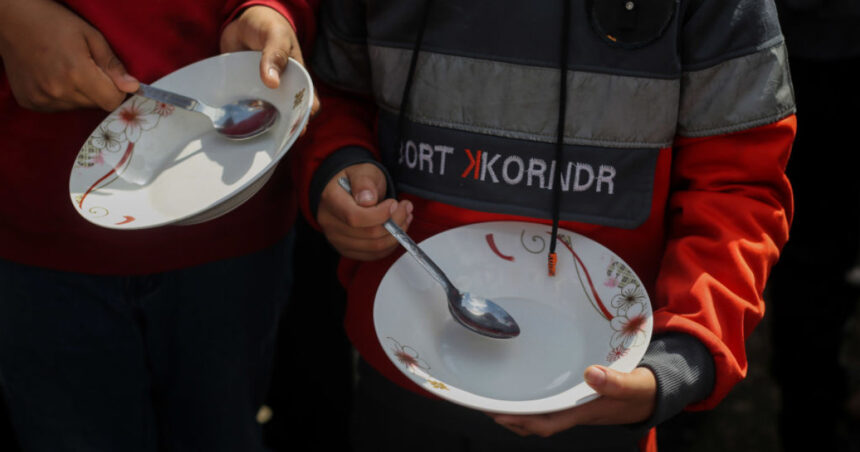 onu peste 75 din populatia fasiei gaza este expusa riscului de foamete extrema 6945ac7447777