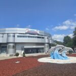 parteneriat pentru natura complexul muzeal de stiinte ale naturii constanta si scoala nr 12 b p hasdeu dau startul unei ample actiuni de plantare 6933c5cd84ddd