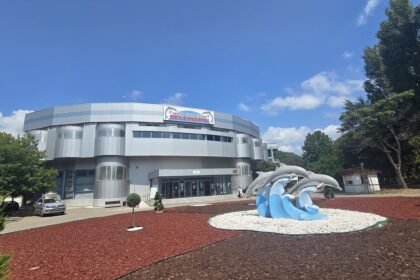 parteneriat pentru natura complexul muzeal de stiinte ale naturii constanta si scoala nr 12 b p hasdeu dau startul unei ample actiuni de plantare 6933c5cd84ddd