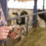 peste 300 de milioane de euro au ajuns la fermierii romani in noiembrie cum au fost impartite fondurile 693900d3250b3