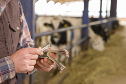 peste 300 de milioane de euro au ajuns la fermierii romani in noiembrie cum au fost impartite fondurile 693900d3250b3