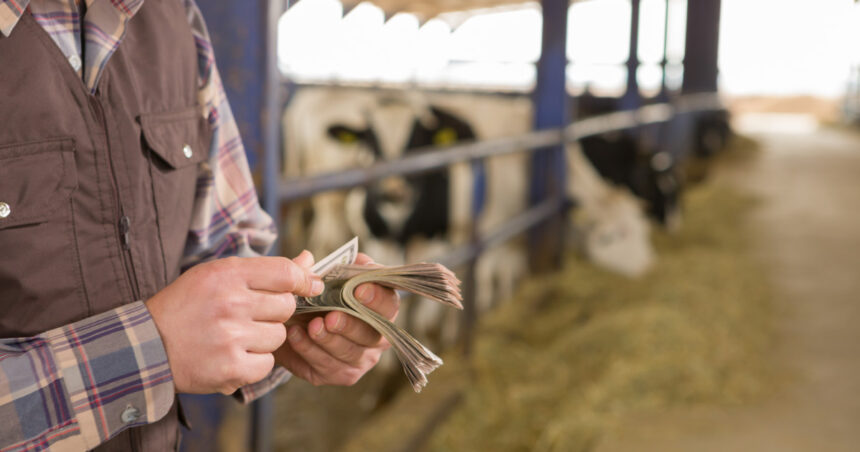 peste 300 de milioane de euro au ajuns la fermierii romani in noiembrie cum au fost impartite fondurile 693900d3250b3