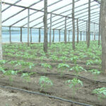 psd va cere in coalitie eliminarea impozitului pe solarii nemultumeste romanii nu aduce bani la buget 69398c288133a