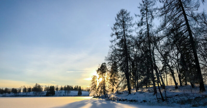 solstitiul de iarna 2025 cea mai lunga noapte a anului de cand incepe sa creasca durata zilei 69464e1c6efe3