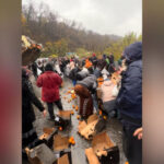 video bataie pe portocale pe o sosea din mehedinti dupa ce un tir s a rasturnat zeci de oameni au navalit sa stranga fructele de pe asfalt 692ec0cdece16