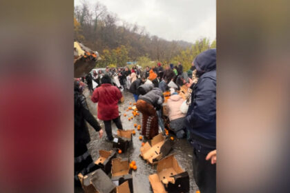 video bataie pe portocale pe o sosea din mehedinti dupa ce un tir s a rasturnat zeci de oameni au navalit sa stranga fructele de pe asfalt 692ec0cdece16