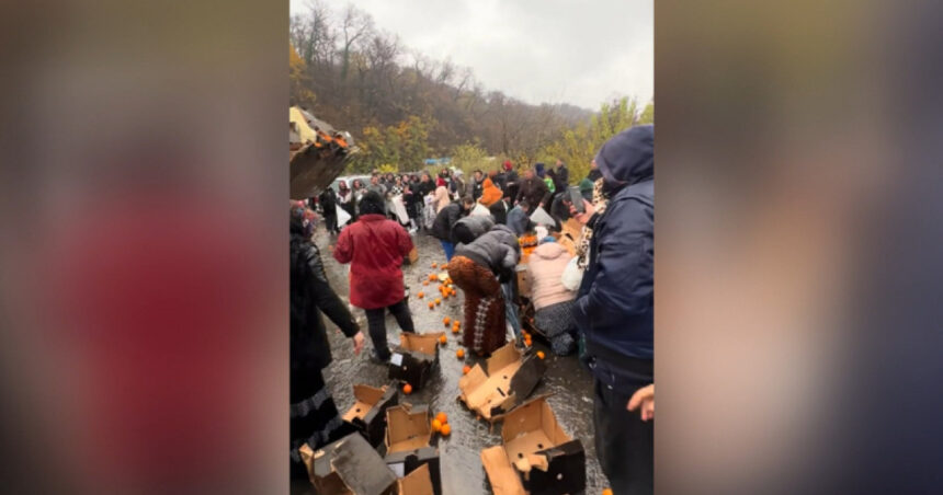 video bataie pe portocale pe o sosea din mehedinti dupa ce un tir s a rasturnat zeci de oameni au navalit sa stranga fructele de pe asfalt 692ec0cdece16