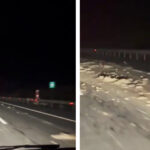 video cu impact emotional autostrada a2 blocata cu lesuri de animale traficul rutier este deviat 693a67fc2691a