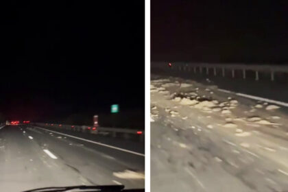 video cu impact emotional autostrada a2 blocata cu lesuri de animale traficul rutier este deviat 693a67fc2691a