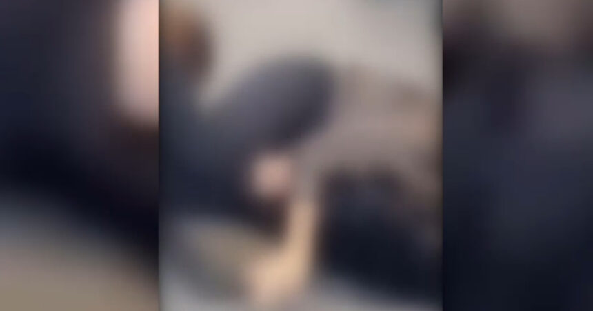 video de ce s au batut doua femei la timisoara un influencer din campania lui calin georgescu in mijlocul scandalului 694666ba004be