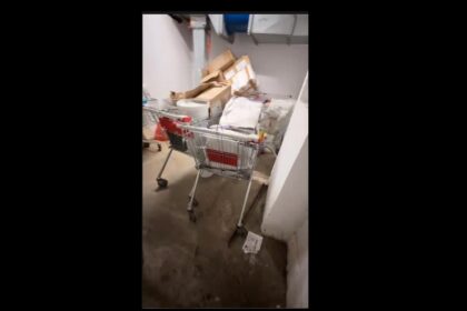 video famous waffles din city park mall calcat de horia constantinescu atentat flagrant la siguranta copiilor spune seful protectiei consumatorilor constanta 693084b33c7cf