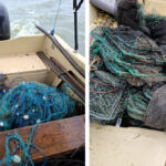 video flagrant in delta dunarii braconieri prinsi cu setci monofilament si capcane pentru raci 693a7cf03349b