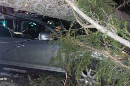 video furtuna pe valea prahovei un copac a cazut peste o masina cu trei persoane la sinaia din cauza vantului puternic 694ee6e428395