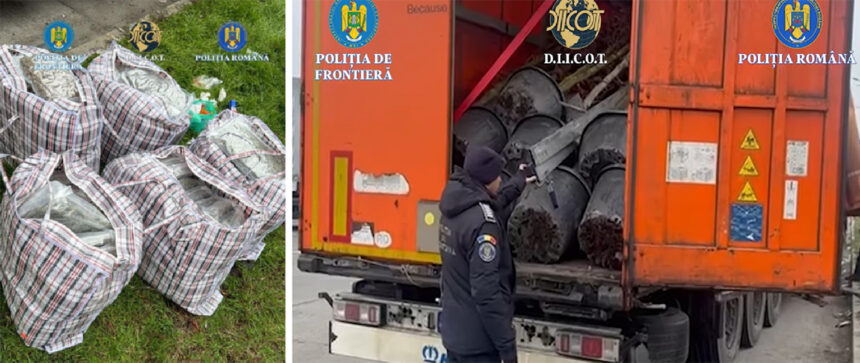 video lovitura diicot la granita traficant turc prins zeci de kilograme de droguri in papornite 694293dcf3f32