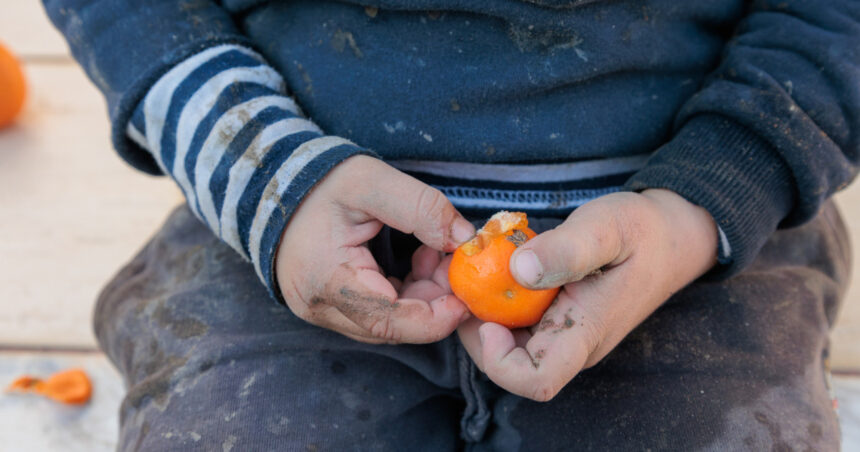 video minune de craciun pentru familiile sarace din donatii preotul care aduce bucurie pentru 10 500 de copii de unul singur n as putea 693f96f6c12d2