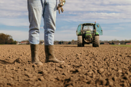 video motiv de bucurie pentru fermierii din sudul tarii a inceput reabilitarea sistemelor de irigatii cand vor fi puse in functiune 693f3118b031c