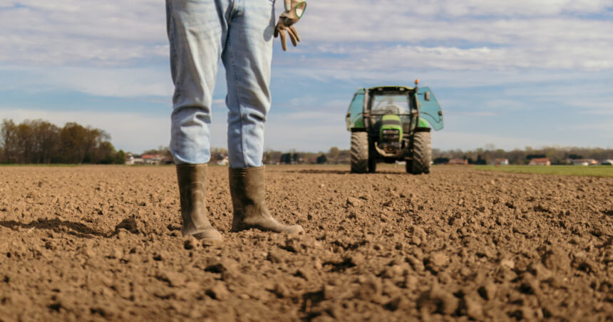 video motiv de bucurie pentru fermierii din sudul tarii a inceput reabilitarea sistemelor de irigatii cand vor fi puse in functiune 693f3118b031c