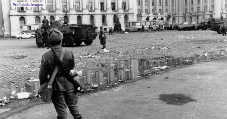 video pelerinaj pe drumul cenusii pentru eroii revolutiei de la timisoara bunica mea a fost erou martir a avut o inima mare 694682f70a738