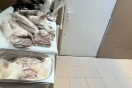 video pericol public restaurantul namo greek a fost inchis imaginile spun totul gandaci soarece mort praf tigai arse 6947d27b67923