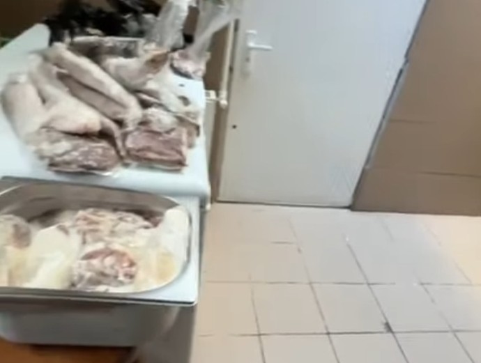 video pericol public restaurantul namo greek a fost inchis imaginile spun totul gandaci soarece mort praf tigai arse 6947d27b67923