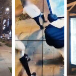 video statia de autobuz de pe pe bulevardul alexandru lapusneanu vandalizata autorii identificati de politistii locali 693bffd9ec023