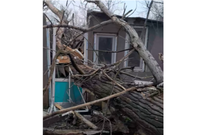 video tragedie in ziua de craciun un copac a cazut peste casa unei femei din agigea 694d2a441e663
