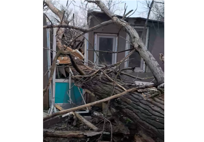 video tragedie in ziua de craciun un copac a cazut peste casa unei femei din agigea 694d2a441e663