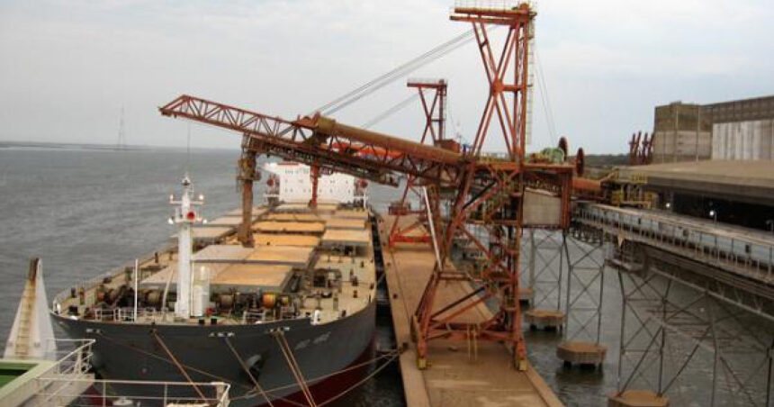 analiza ce spun producatorii romani despre tratatul ue mercosur vom concura cu agricultori care folosesc substante ce la noi sunt interzise 696766c727b50