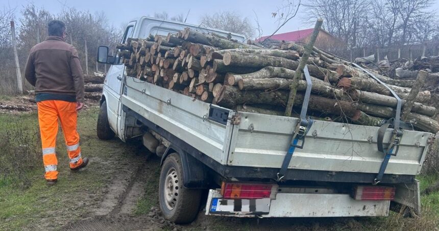 barbat din macin prins de politisti cu o camioneta plina de lemne fara documente 695f8a302044f
