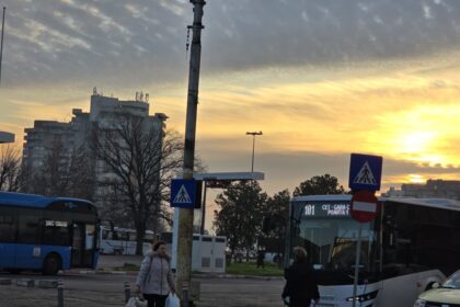 ct bus confirma lipsa autobuzelor pe traseu temperaturile scazute si problemele tehnice principalele motive 696e46e4e6a9d