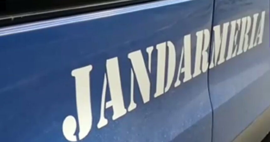 doi soferi care se amenintau reciproc cu un pistol si un cutit la un semafor din bucuresti imobilizati de jandarmi 6966661fb10c0