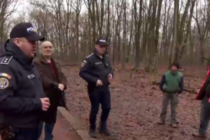 exclusiv ancheta scoate la iveala noi nereguli in padurea de la baile felix sunt mai multi arbori taiati ilegal decat in plangerea penala 697a5dd7557df