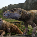 foto prezenta dinozaurilor cu coarne in europa contestata de peste un secol a fost confirmata cu ajutorul unor descoperiri din romania 6964961d31a42