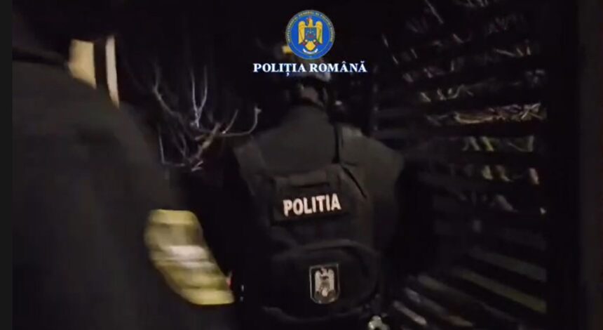 foto video perchezitii in baneasa s au descoperit aproape 60 kg de vanat posibil braconat spun anchetatorii 69733b8040e07