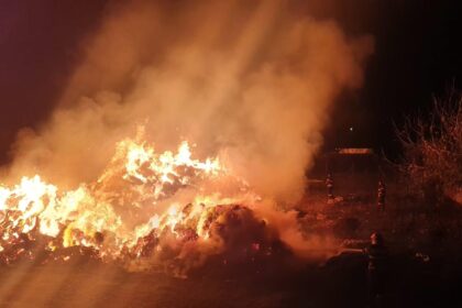 individul retinut dupa ce a incendiat peste 3000 de baloti de paie recidivist cu acte n regula a bifat si o evadare 695d895fe0698