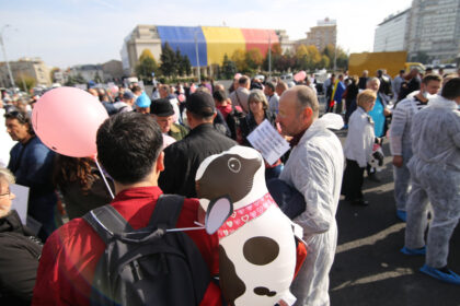 medicii veterinari protesteaza astazi in piata victoriei fata de reducerea finantarii serviciilor sanitar veterinare 69775f91edbaf