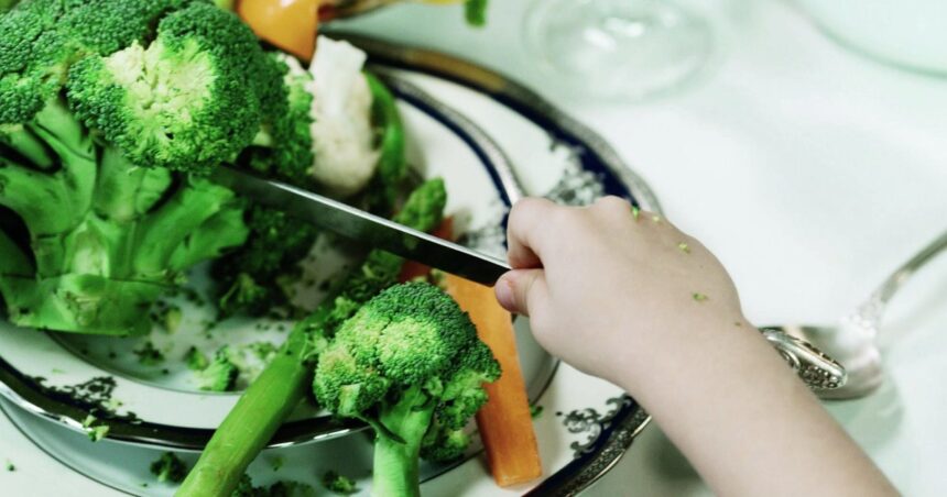 plantele surse de fibre si de compusi cu efecte antimicrobiene antioxidante si antiinflamatorii 6964138864b76