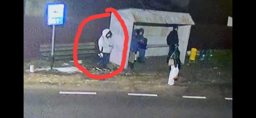 ultima poza cu minora disparuta din movilita al carei rucsac a fost gasit pe malul canalului din agigea ce spune mama ei 6973ddeaaf508