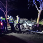 un autoturism a intrat intr un copac de pe maginea dc 47 in zona comunei lipnita 69627aa7df07b