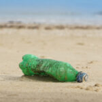 video cercetatorii avertizeaza peste cu microplastic pe masa romanilor marea neagra poluata masiv 6968b4dd903ea