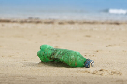 video cercetatorii avertizeaza peste cu microplastic pe masa romanilor marea neagra poluata masiv 6968b4dd903ea