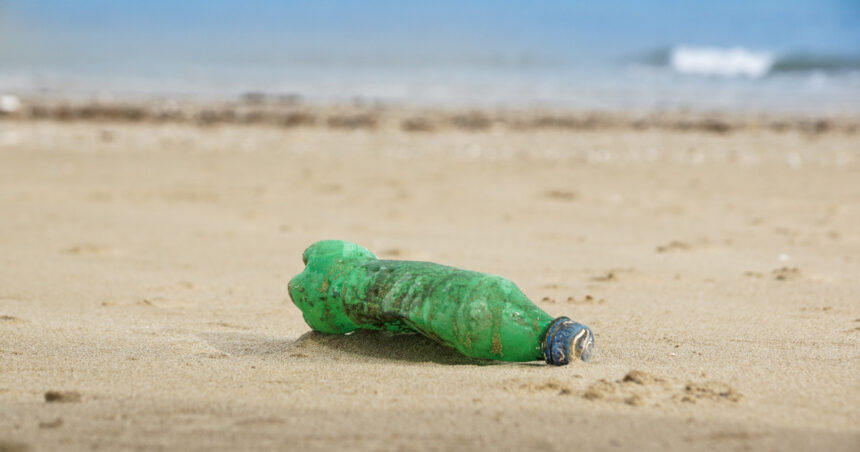 video cercetatorii avertizeaza peste cu microplastic pe masa romanilor marea neagra poluata masiv 6968b4dd903ea