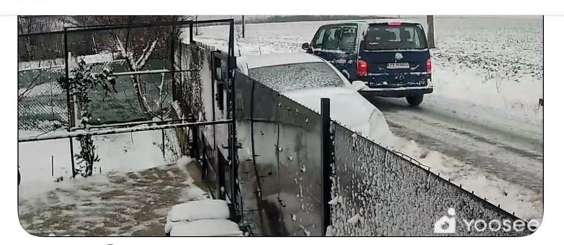 video imagini scandaloase la 23 august un individ a oprit masina si a lasat cainele in camp apoi a plecat 6960c3856b240