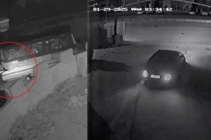 video mega dosar indivizii care au furat motorul unui catamaran de la restaurantul la scoica au dat si alte bufuri lista pagubitilor cuprinde numai nume cunoscute 69795177b0134